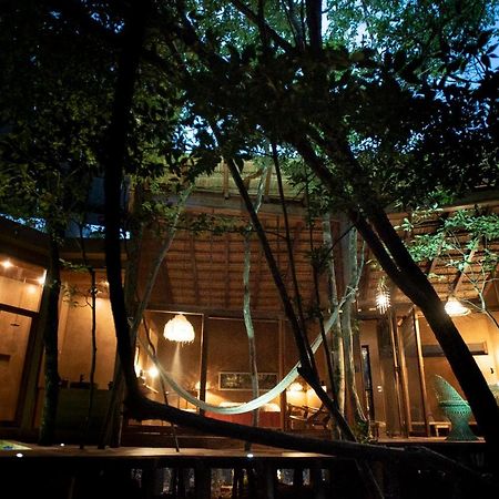 Ojo De Arbol, Boutique Cabin In The Real Jungle Tulum Exterior photo