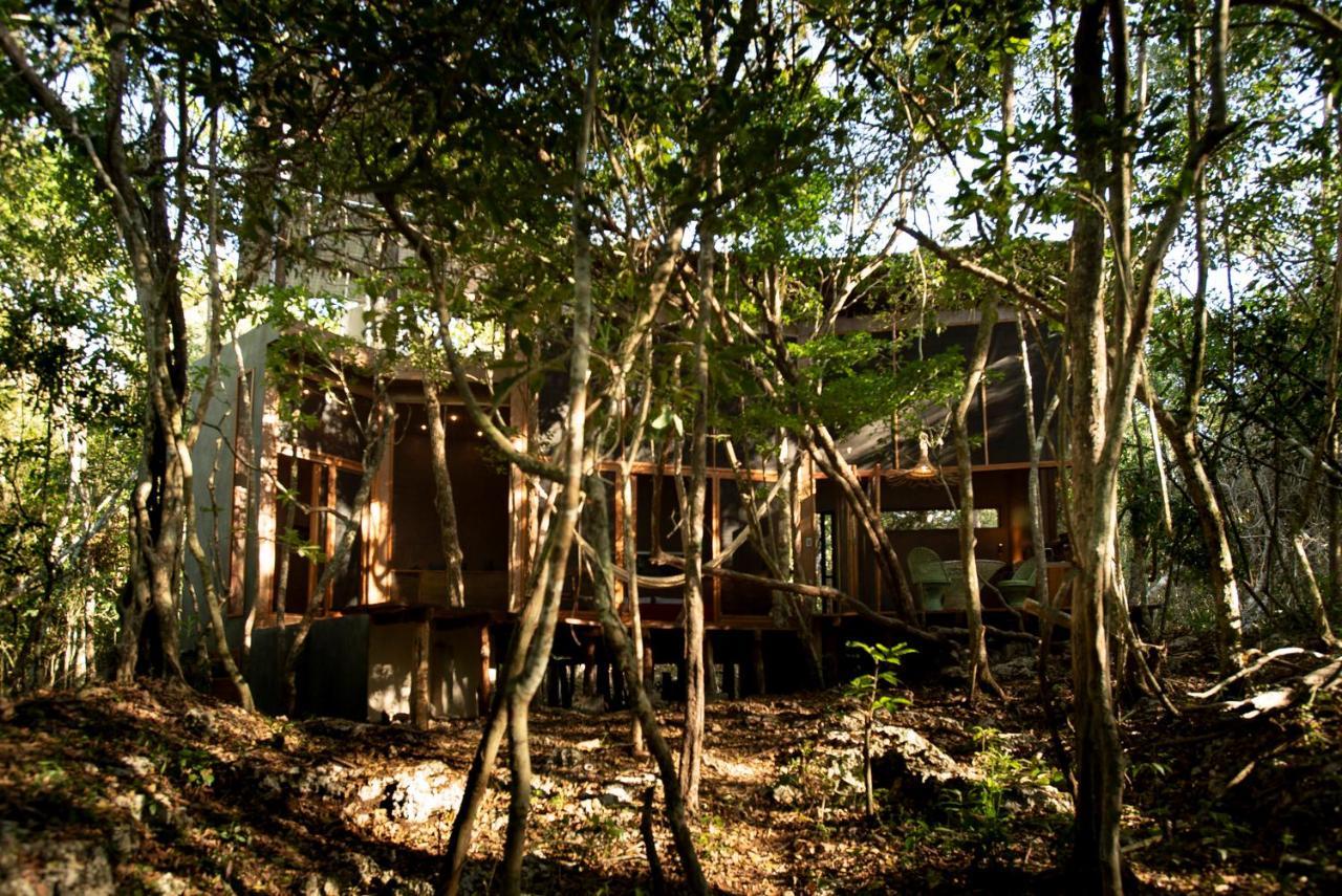 Ojo De Arbol, Boutique Cabin In The Real Jungle Tulum Exterior photo