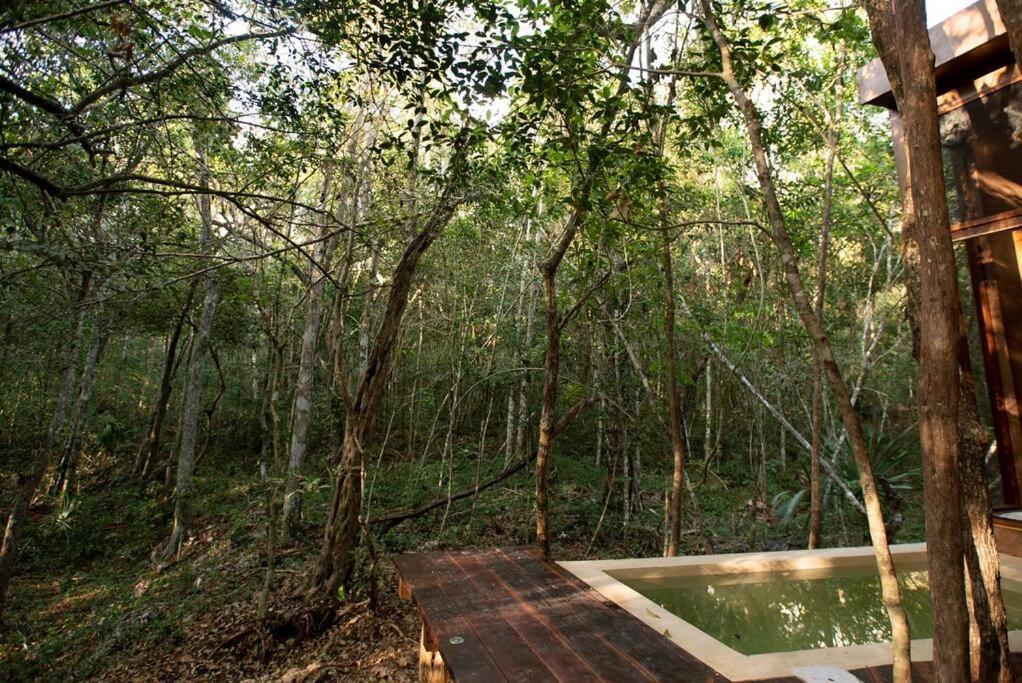 Ojo De Arbol, Boutique Cabin In The Real Jungle Tulum Exterior photo
