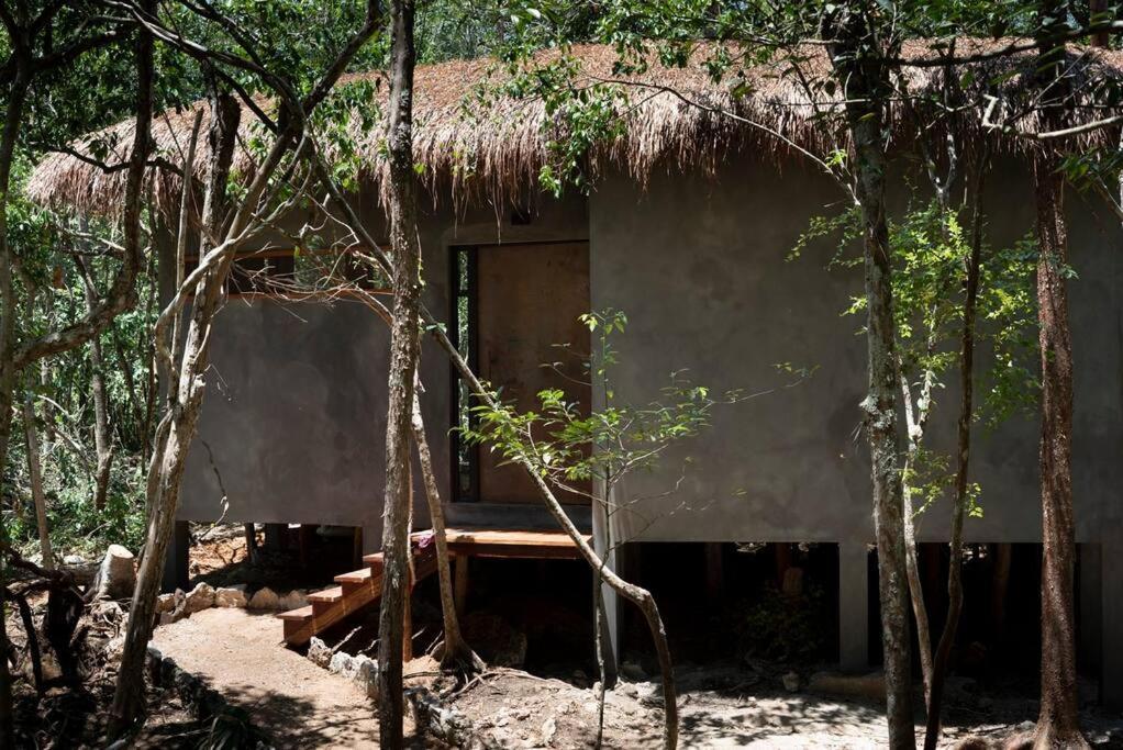 Ojo De Arbol, Boutique Cabin In The Real Jungle Tulum Exterior photo