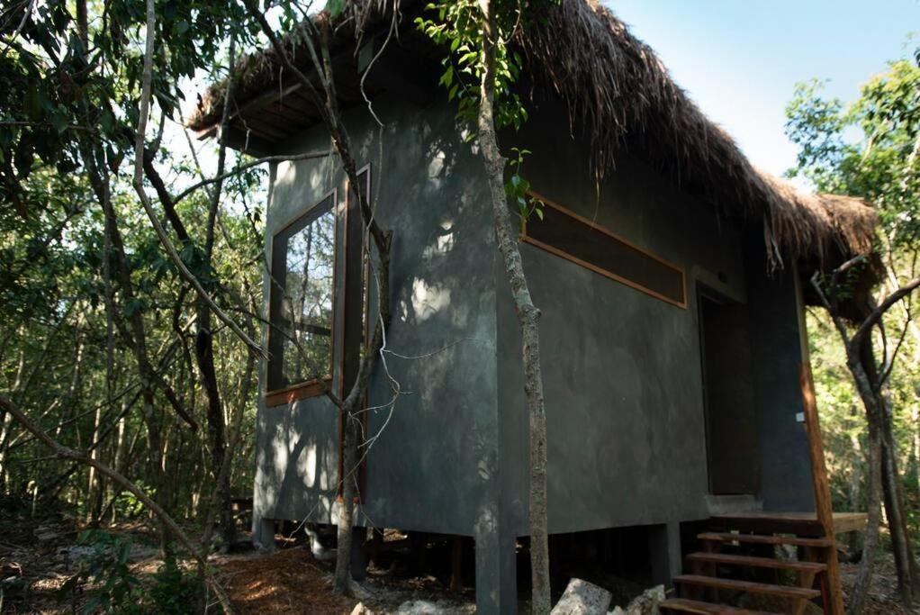 Ojo De Arbol, Boutique Cabin In The Real Jungle Tulum Exterior photo