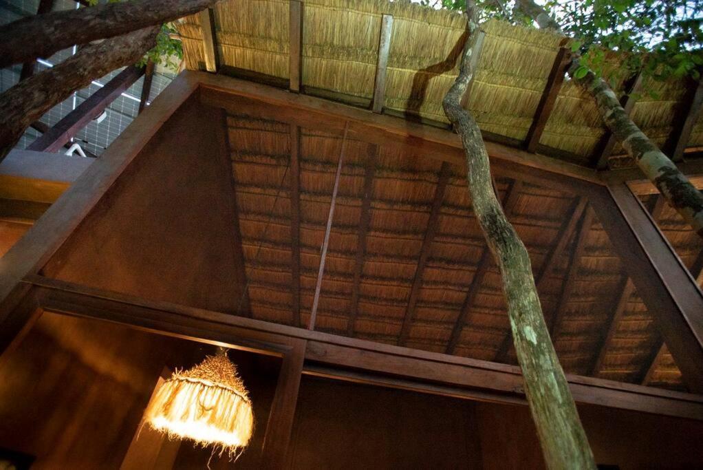 Ojo De Arbol, Boutique Cabin In The Real Jungle Tulum Exterior photo