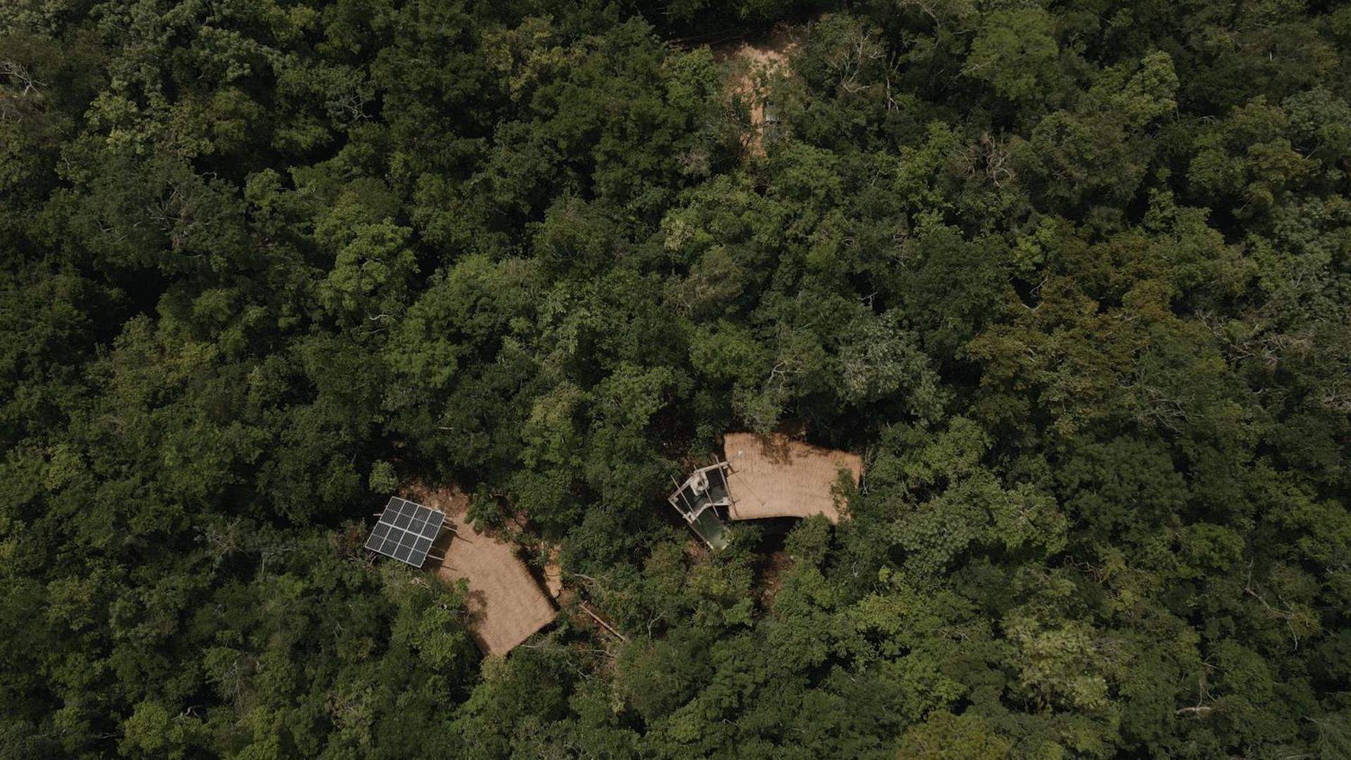 Ojo De Arbol, Boutique Cabin In The Real Jungle Tulum Exterior photo